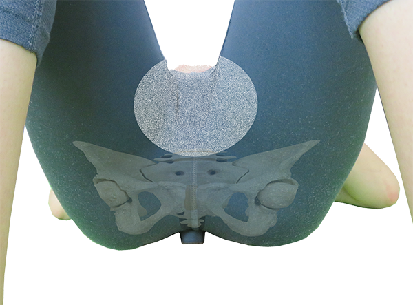 sacro aligner position detail pelvis